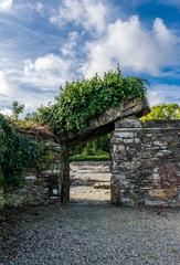 Mellifont Abbey in Drogheda