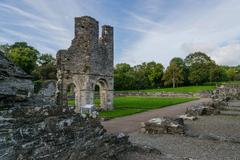 Mellifont Abbey ruins in Drogheda