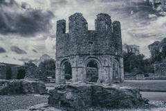 Mellifont Abbey in Drogheda, historic Irish monastic site