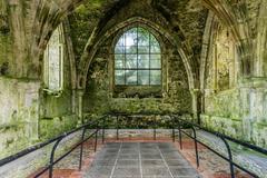 Mellifont Abbey ruins in Drogheda