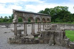 Mellifont Abbey ruins