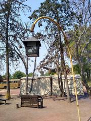 scenic view of zebras, elephants, and other animals at Africam Safari