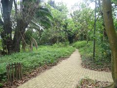 Praça Monteiro Lobato with lush greenery and paved walkways