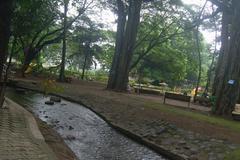 Landscape view of Empress Garden in Pune featuring lush greenery and a pathway