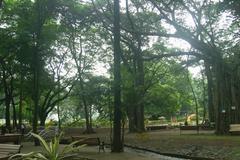 Greenery at Pune Empress Gardens