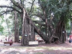 Empress Botanical Garden in Pune