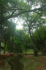 Empress Garden in Pune