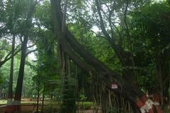 beautiful garden in Pune with lush greenery and flowering plants