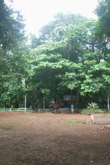 Kids playing area at Pune Empress Gardens