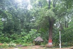 Empress Garden in Pune