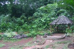 beautiful garden in Pune with flowers, pathways and trees