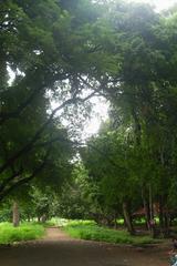 beautiful pathways in Pune Empress Gardens with lush greenery and vibrant flowers