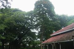 Houses at Empress Gardens in Pune