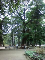 Empress Garden with lush greenery and paved walkways