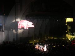 Roger Waters performing 'Sheep' at Hollywood Bowl with giant inflatable pig floating over the crowd