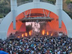 King Gizzard & the Lizard Wizard performing at Hollywood Bowl, June 21, 2023, Broderick Smith tribute