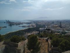 View of Málaga cityscape from above, showing historical buildings and coastal area.