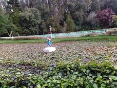 Ooty Botanical Garden