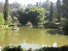 Ooty view in January 2013