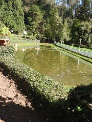 Government Botanical Garden in Ooty, India