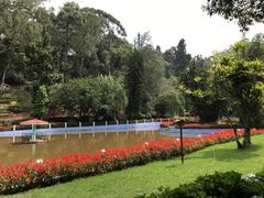 Serene brown lake at Sims Park, Ooty