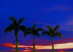 Sunrise in Caraguatatuba
