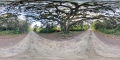 360-degree view of Figueira on Morro da Borussia in Osório, RS