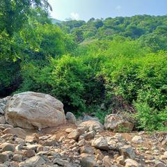 Scenic nature landscape with lush greenery