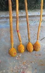 Coconut festival in Salem