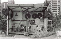 Christmas tree lot in Near North Side, Chicago with highrises in the background, December 1978