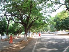 Race Course Road in Coimbatore