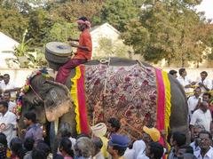 Man Riding an Elephant in a Pongal Festival Parade