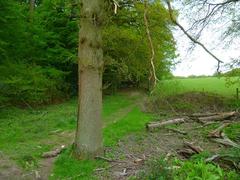 Beeches Way countryside path with green fields