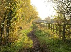 Bridleway in Hitcham