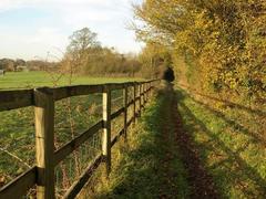 Bridleway in Hitcham