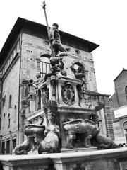 Fontana del Nettuno and Palazzo Re Enzo in Bologna, Italy