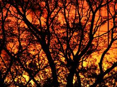 colorful sky view from a bedroom window