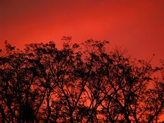 Colorful sky view from a bedroom window