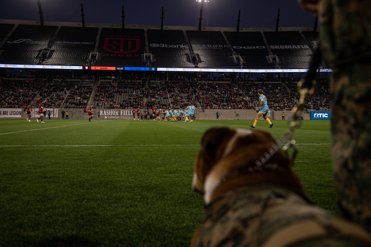 U.S. Marine Corps Mascot Pfc. Bruno at San Diego Legion vs Los Angeles Rugby Game