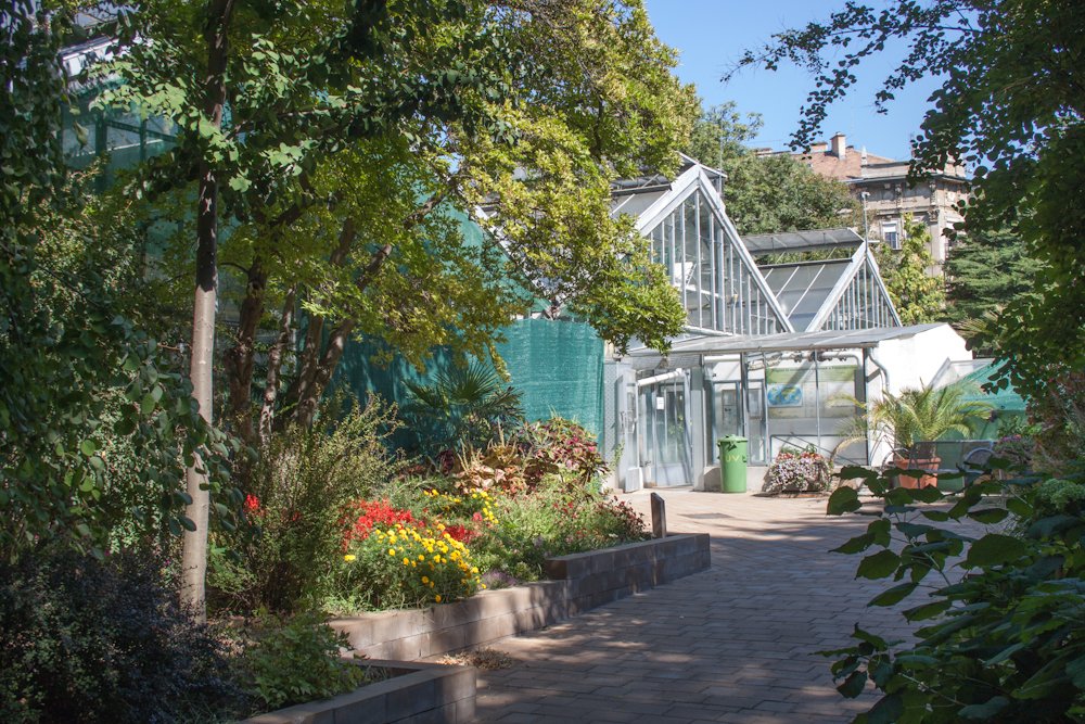 Lush green Botanical Garden in Budapest with trees and pathways