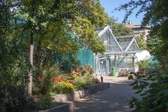 Lush green Botanical Garden in Budapest with trees and pathways