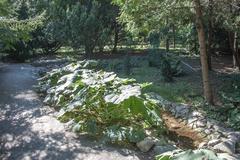 Botanical Garden in Budapest with greenery and historic buildings