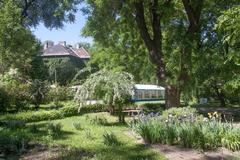 Lush Botanical Garden in Budapest with greenery and walking paths