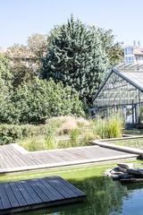 Greenhouse interior with a variety of tropical plants and trees at Botanical Garden, Budapest