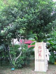 Sun Yat Sen Nanyang Memorial Hall facade with traditional architecture