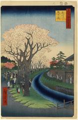 Tamagawa Aqueduct