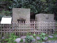 Traditional Japanese stone water basin and wooden bridge in Koto, Tokyo