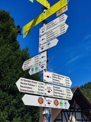 Wegweiser Burg Windeck Schwarzwaldverein wooden signpost in forest