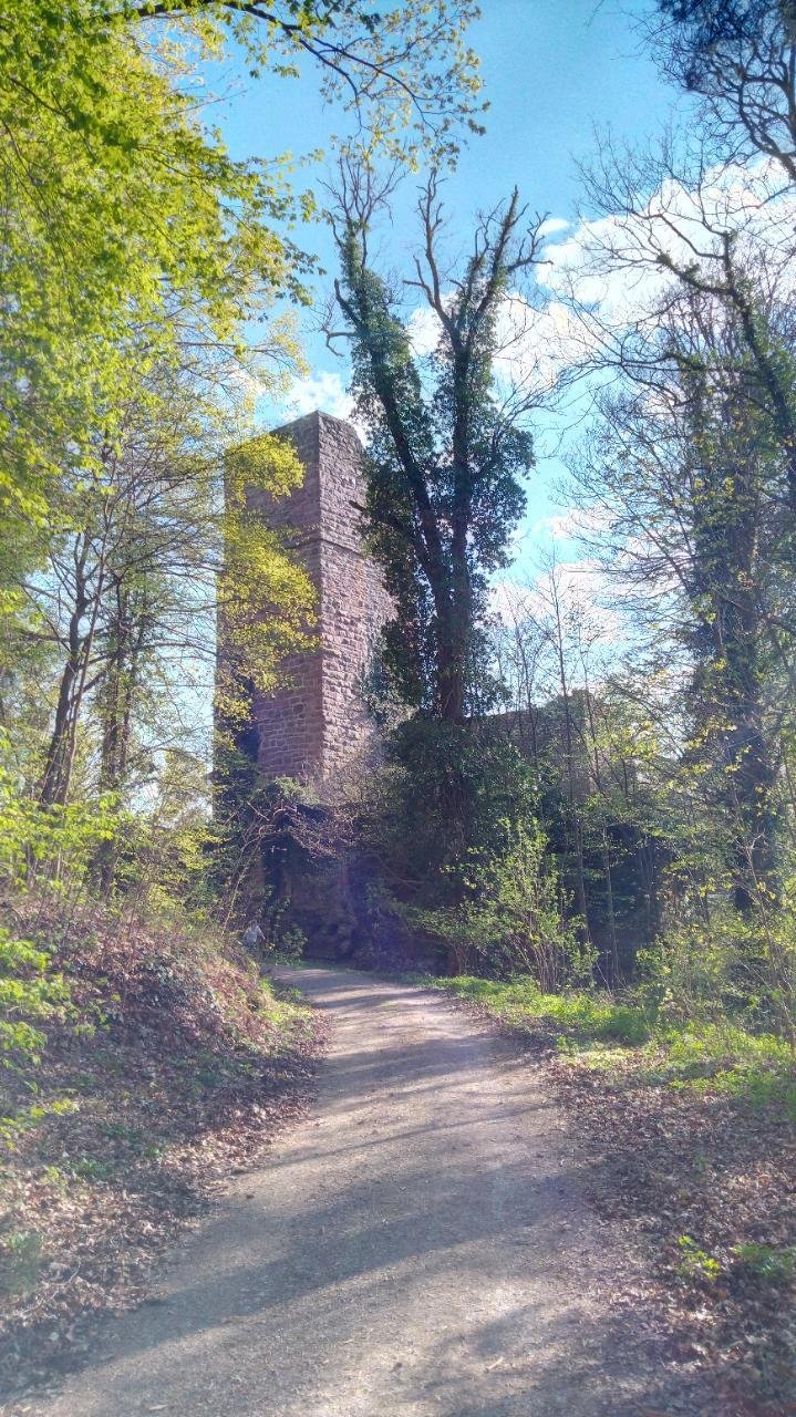 Ruins of Liebeneck above Pforzheim-Würm with pavilion and benches