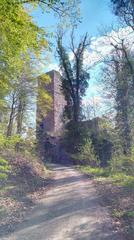 Ruins of Liebeneck above Pforzheim-Würm with pavilion and benches